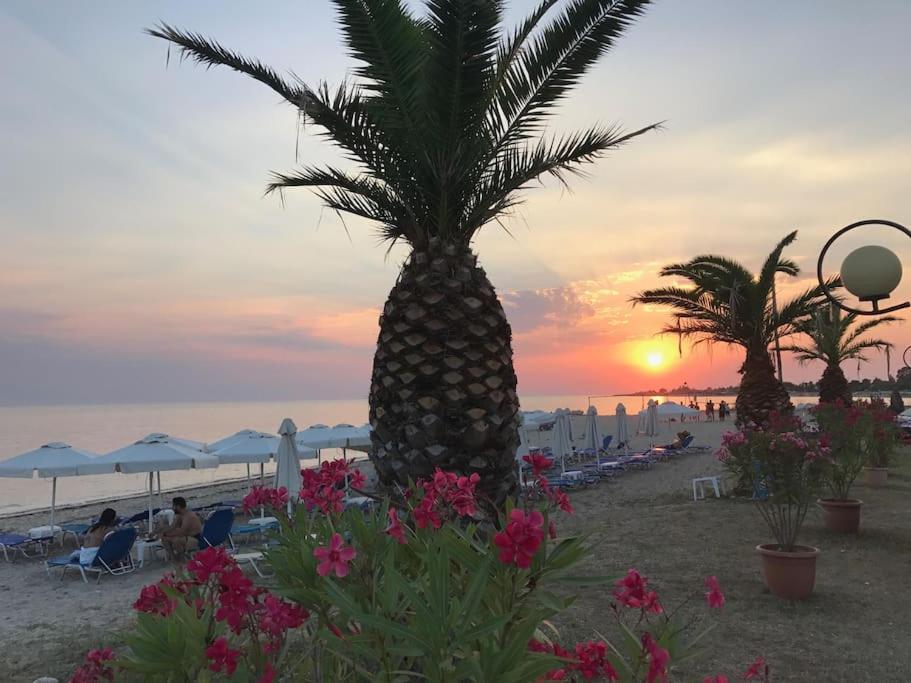 Camping Aigeas Nea Kallikrateia