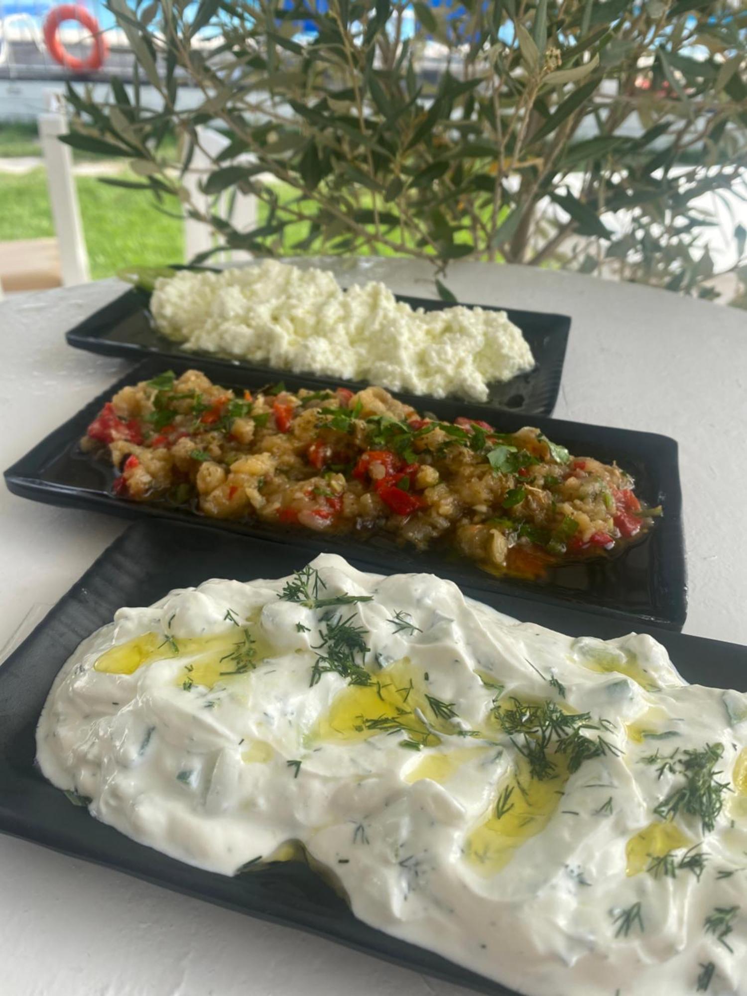 Camping Aigeas Nea Kallikrateia